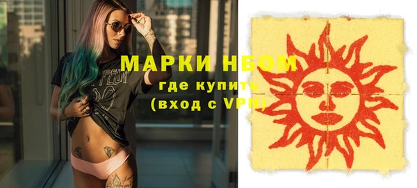 индика Гусиноозёрск