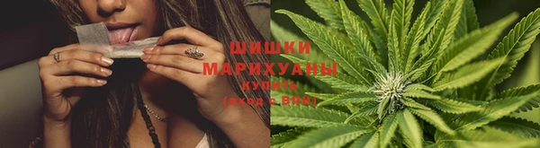 спиды Гусев