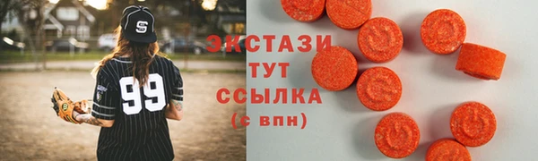 индика Гусиноозёрск