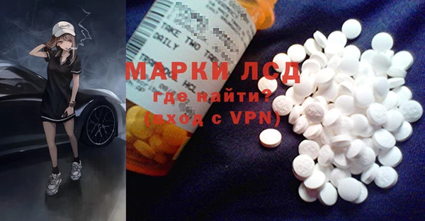 индика Гусиноозёрск