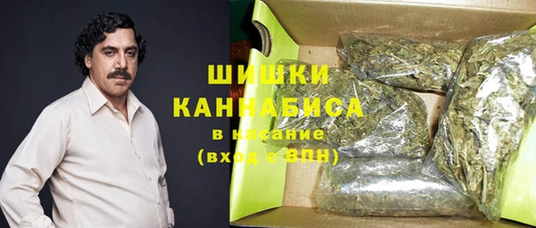 дмт Дмитров