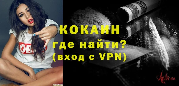 индика Гусиноозёрск