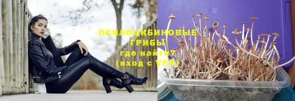 стафф Дмитриев