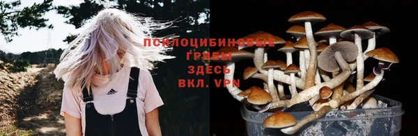 индика Гусиноозёрск